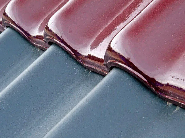 Roof Cleaning